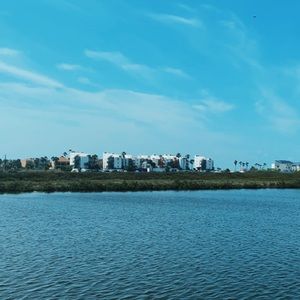 Meet your Posher, Ella